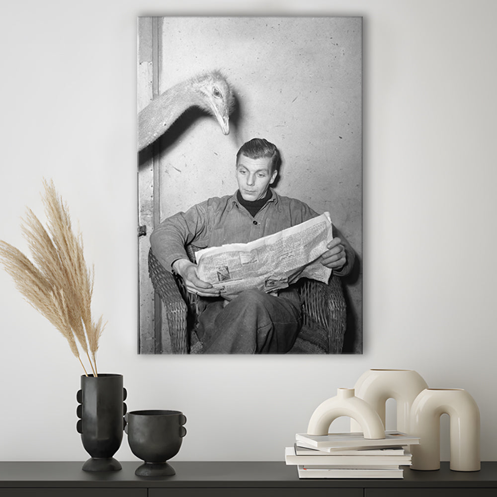 Ostrich Reading a Newspaper, Vintage Animal Photo Black and White Art, Canvas Print Wall Art