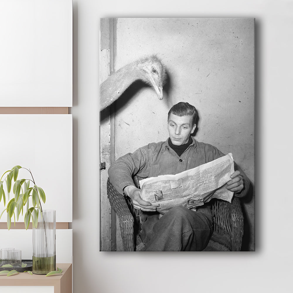 Ostrich Reading a Newspaper, Vintage Animal Photo Black and White Art, Canvas Print Wall Art