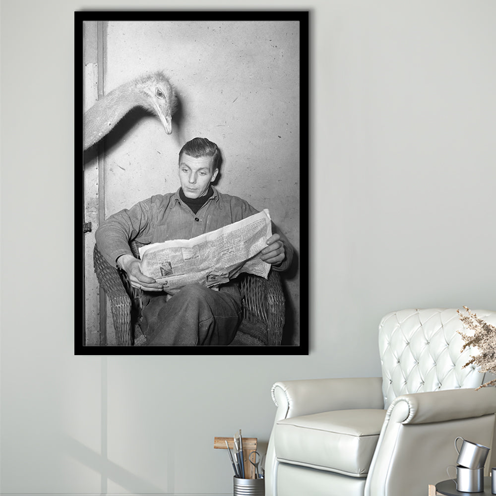 Ostrich Reading a Newspaper Funny Vintage Animal Photo Black and White Art, Framed Art Print Wall Decor