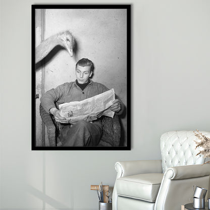 Ostrich Reading a Newspaper Funny Vintage Animal Photo Black and White Art, Framed Art Print Wall Decor