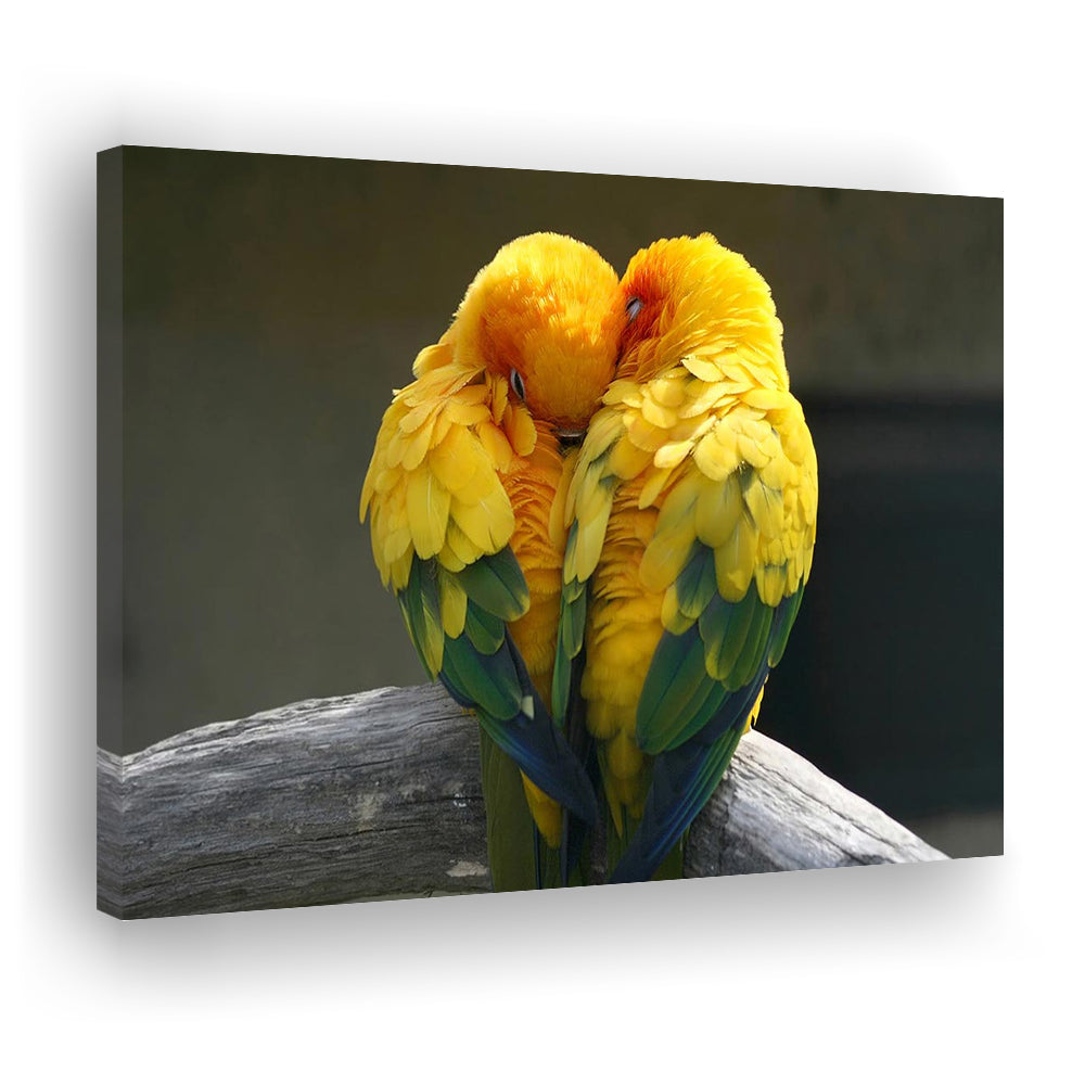 Pair Lovebirds Art Lovebirds Parrot Wall Decor Canvas Wall Art, Cavas Print Wall Art Hom Decor