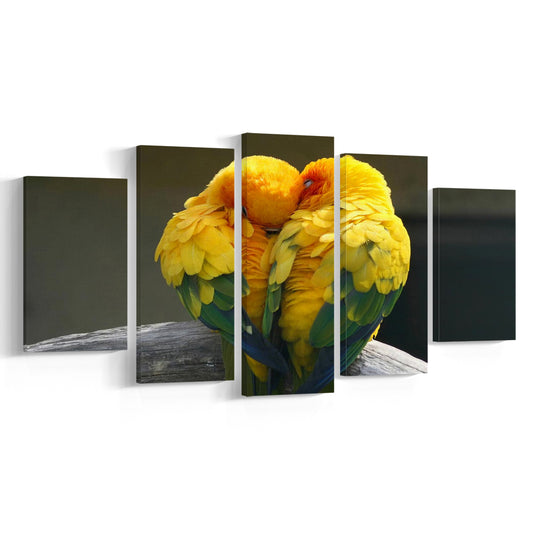 Pair Lovebirds Art Lovebirds Parrot Wall Decor Canvas Wall Art, 5 Piece Large Cavas Print Wall Art