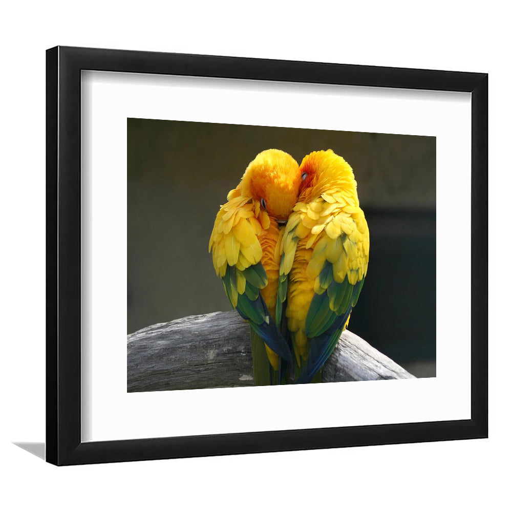Pair Lovebirds Art Lovebirds Parrot Wall Decor Wall Art, Framed Art Print White Border