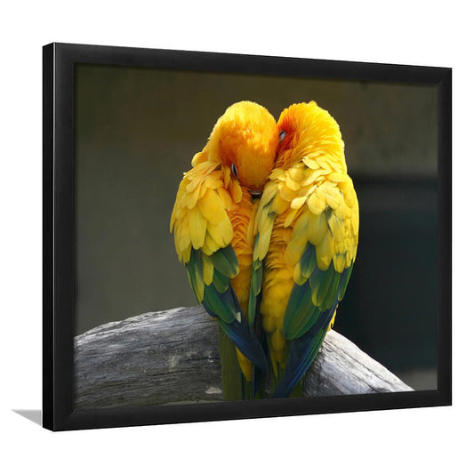Pair Lovebirds Art Lovebirds Parrot Wall Decor Art Wall Art, Framed Art Print, Picture Framed