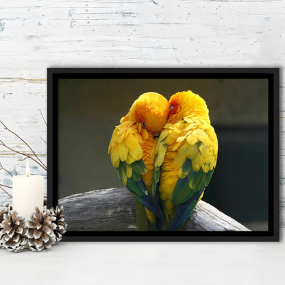 Pair Lovebirds Art Lovebirds Parrot Wall Decor Canvas Wall Art, Framed Cavas Print, Floating Frame