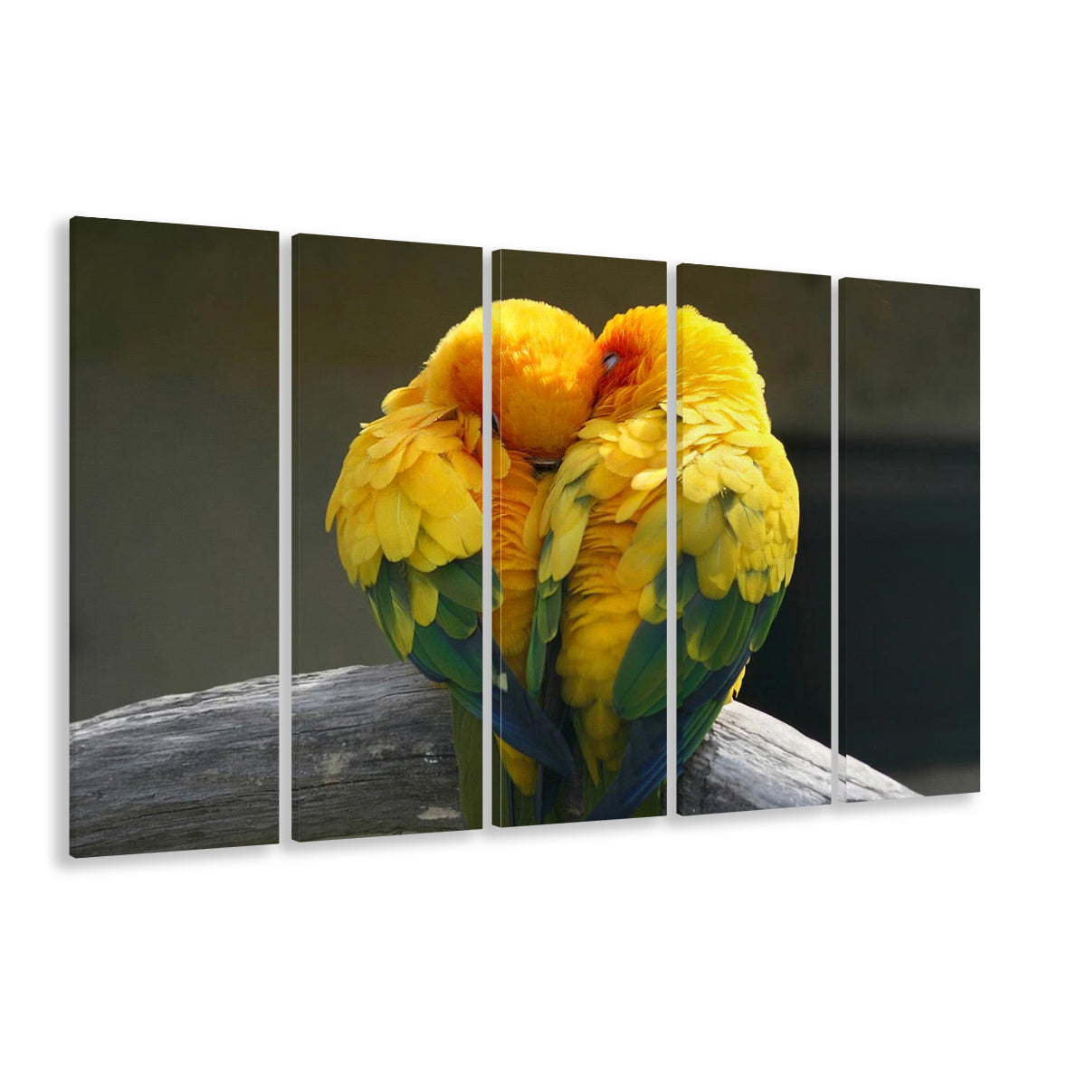 Pair Lovebirds Art Lovebirds Parrot Wall Decor Canvas Wall Art, 5 Piece B Extra Large Cavas Print Wall Art Decor