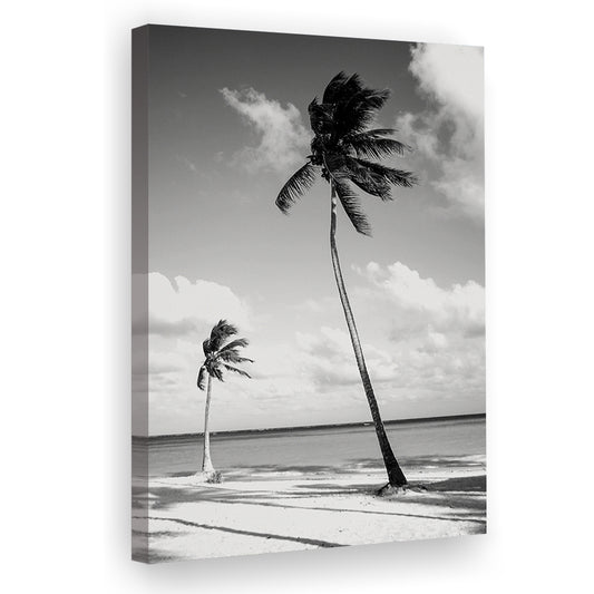 Palm Tree Print, Summer, Black and White, Vintage Beach House Wall Decor, Canvas Print Wall Art