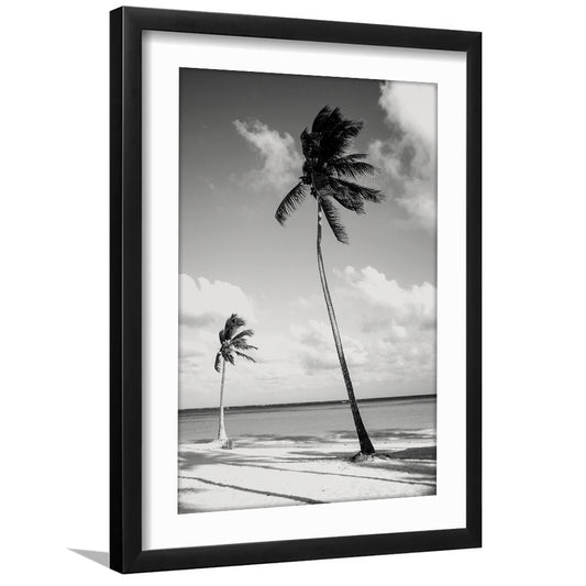 Palm Tree Print, Summer, Black and White, Vintage Beach, Beach House Wall Decor, Framed Art Print White Border Wall Decor