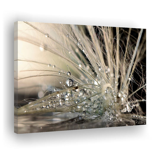 Pearls Large Stretched Canvas Floating Frame Wall Art Print, Cavas Print Wall Art Hom Decor