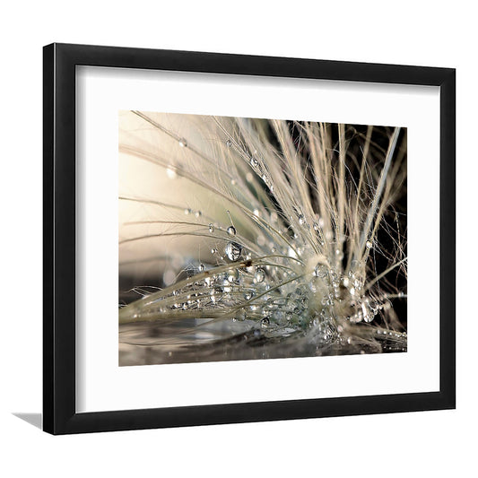 Pearls Large Stretched Floating Frame Wall Art Print, Framed Art Print White Border