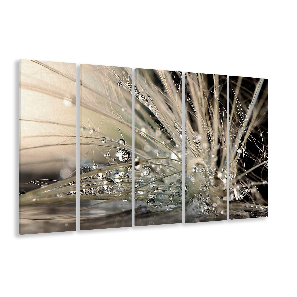 Pearls Large Stretched Canvas Floating Frame Wall Art Print, 5 Piece B Extra Large Cavas Print Wall Art Decor