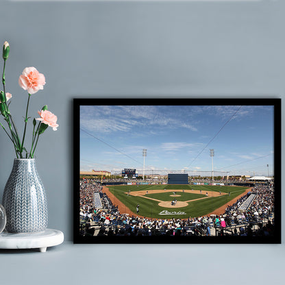 Peoria Sports Complex, Stadium Canvas, Sport Art, Fan Gifts, Framed Art Print Wall Decor, Picture Framed