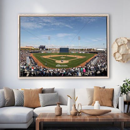 Peoria Sports Complex, Stadium Canvas, Sport Art, Fan Gifts, Framed Canvas Print Wall Art, Floating Frame