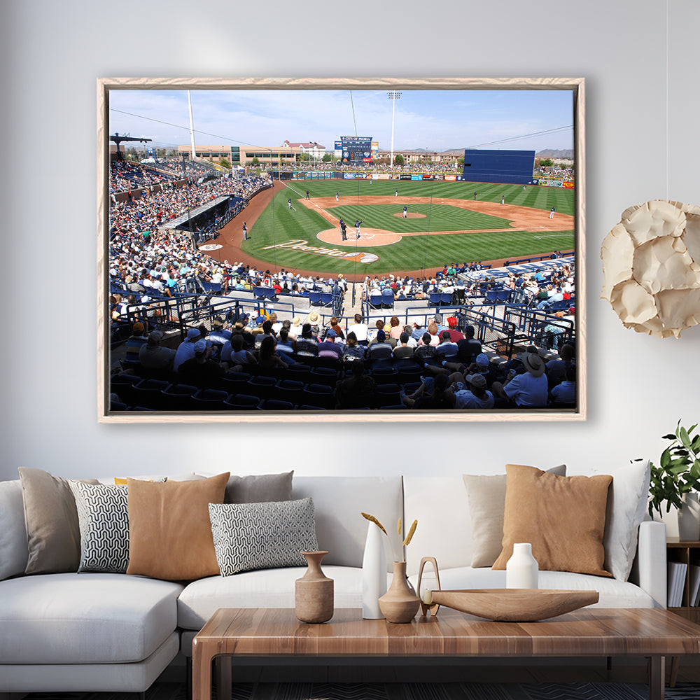 Peoria Sports Complex, Stadium Canvas, Sport Art, Framed Canvas Print Wall Art, Floating Frame