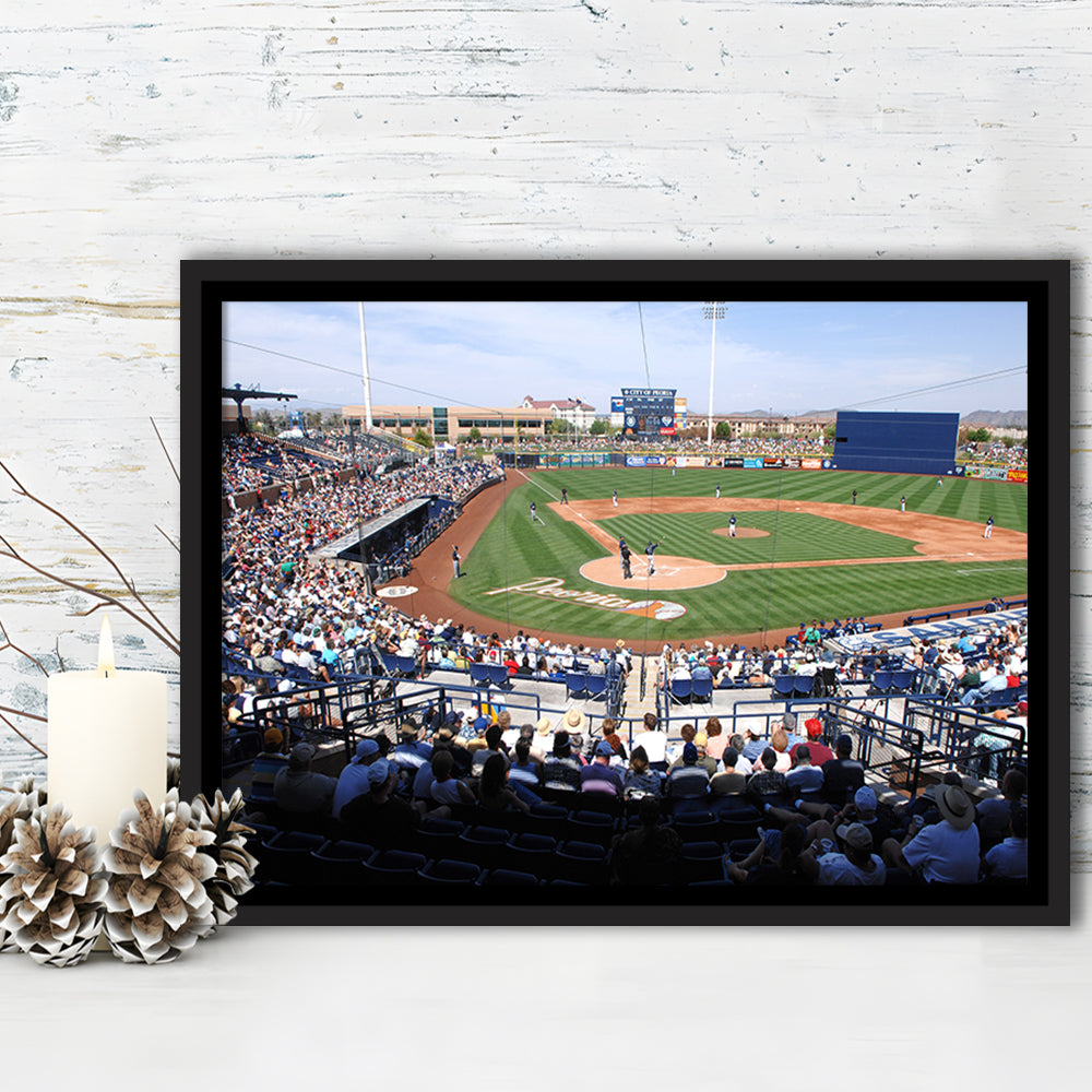 Peoria Sports Complex, Stadium Canvas, Sport Art, Framed Canvas Print Wall Art, Floating Frame