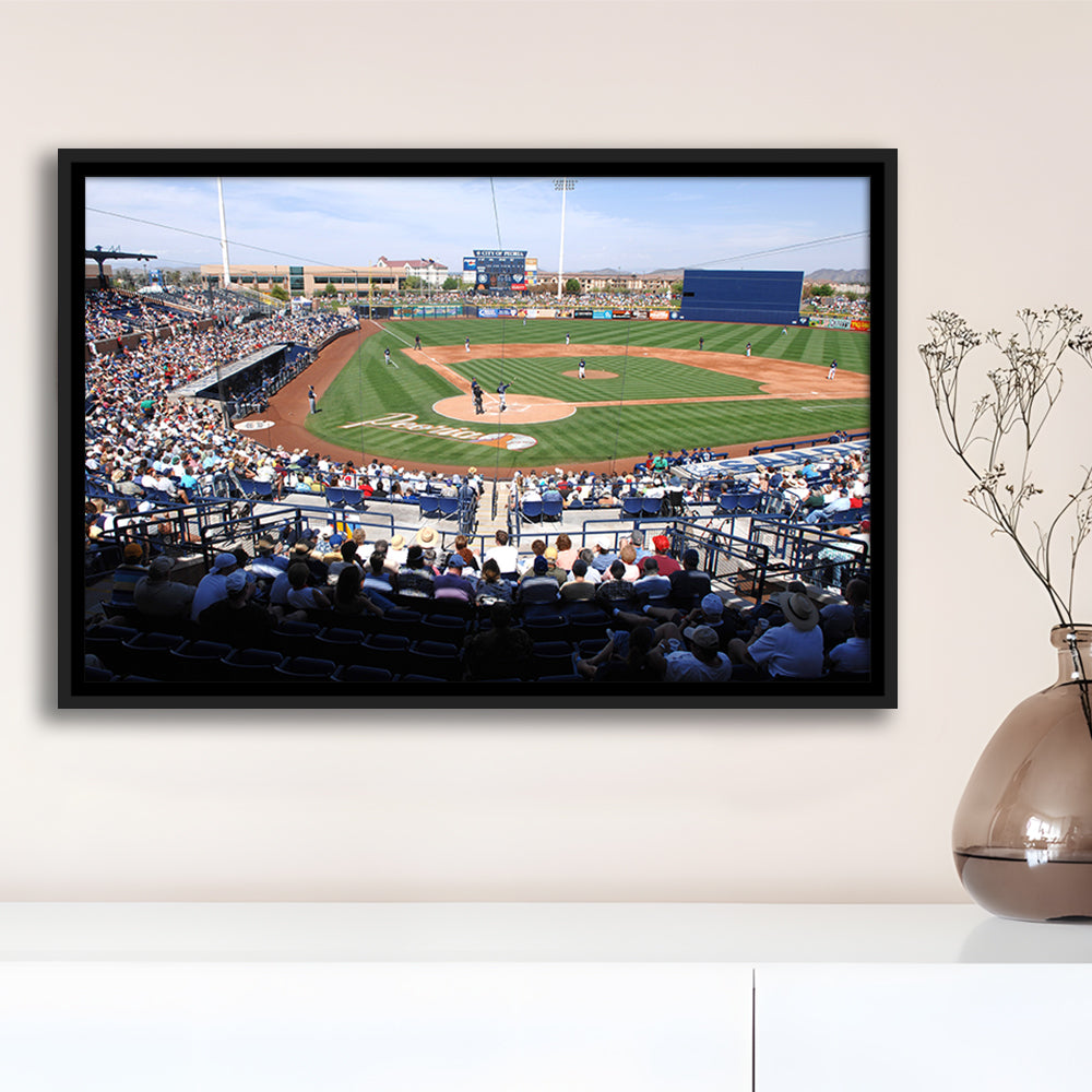 Peoria Sports Complex, Stadium Canvas, Sport Art, Framed Canvas Print Wall Art, Floating Frame
