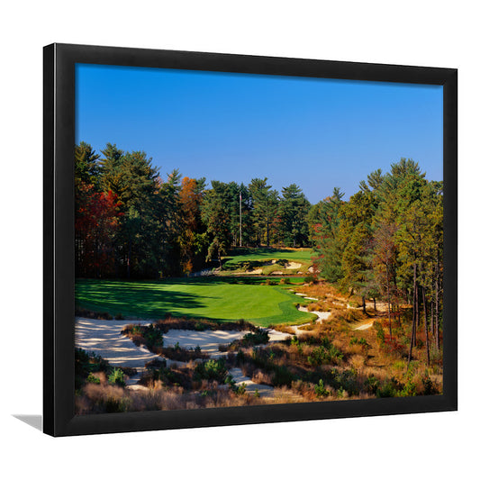 Pine Valley Golf Club Hole 18 Pine Valley Golf Courses, New Jersey, Framed Art Print Wall Decor, Picture Framed