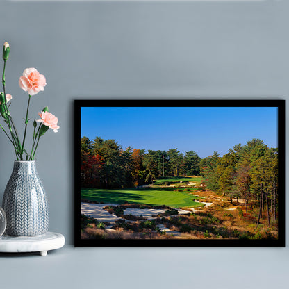 Pine Valley Golf Club Hole 18 Pine Valley Golf Courses, New Jersey, Framed Art Print Wall Decor, Picture Framed