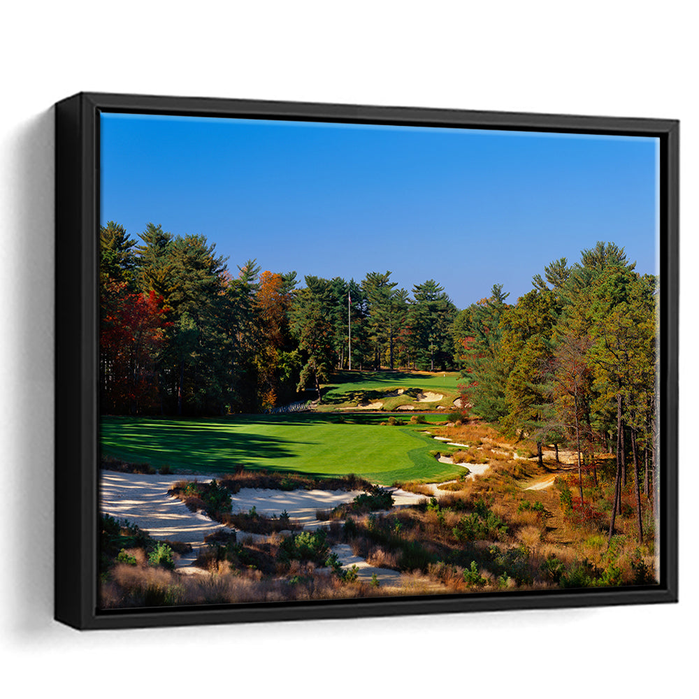 Pine Valley Golf Club Hole 18 Pine Valley Golf Courses, New Jersey, Floating Framed Canvas Print Wall Art