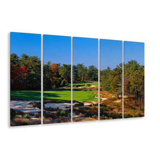 Pine Valley Golf Club Hole 18 Pine Valley Golf Courses, New Jersey, Extra Large Canvas Print Wall Art