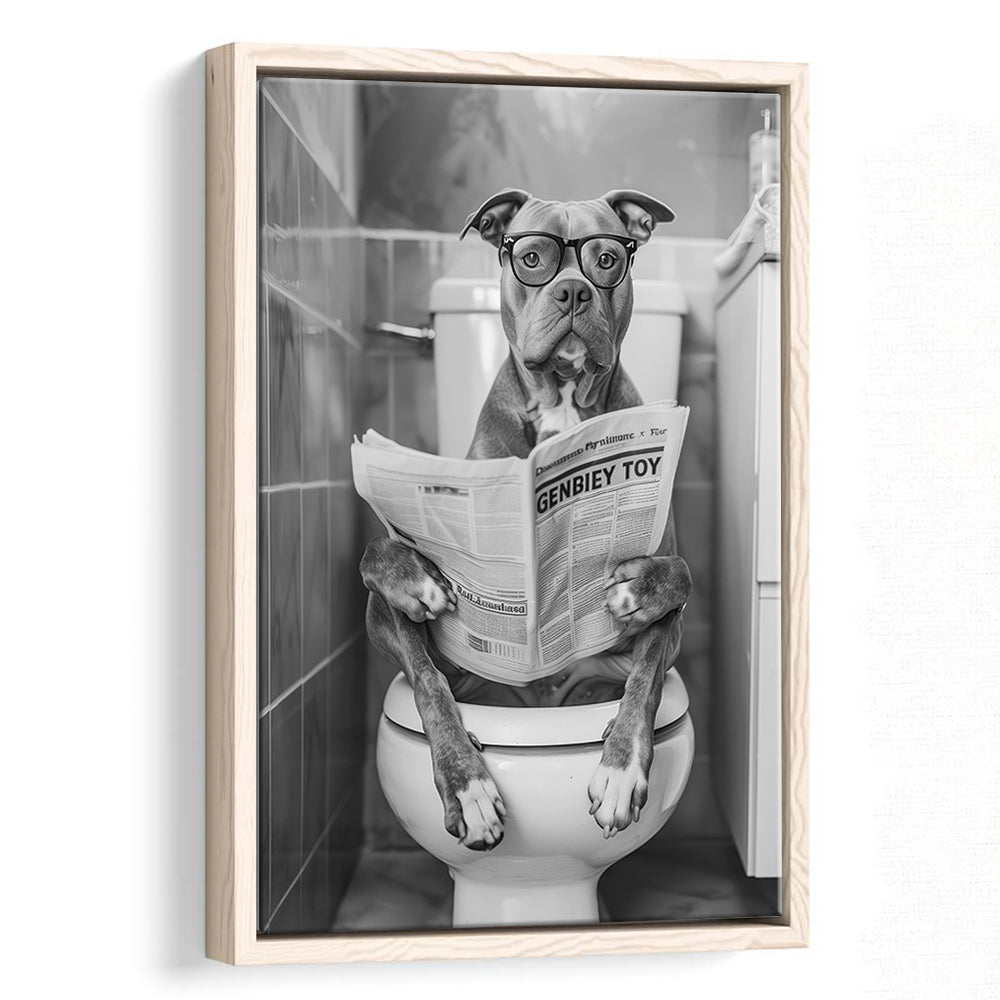 Pitbull Sitting On Toilet Framed Canvas Print Wall Art, Pitbull Dog Reading Newspaper, Black and White, Bathroom Wall Decor