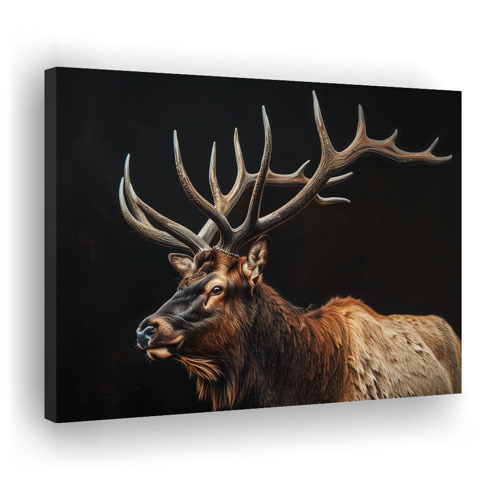 Portrait Elk With Antlers Black Background, Hunting Art Decor, Canvas Print Wall Art Home Decor