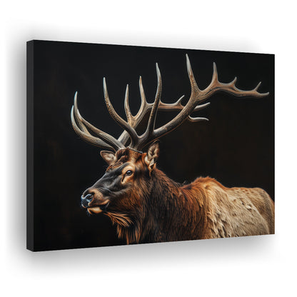 Portrait Elk With Antlers Black Background, Hunting Art Decor, Canvas Print Wall Art Home Decor