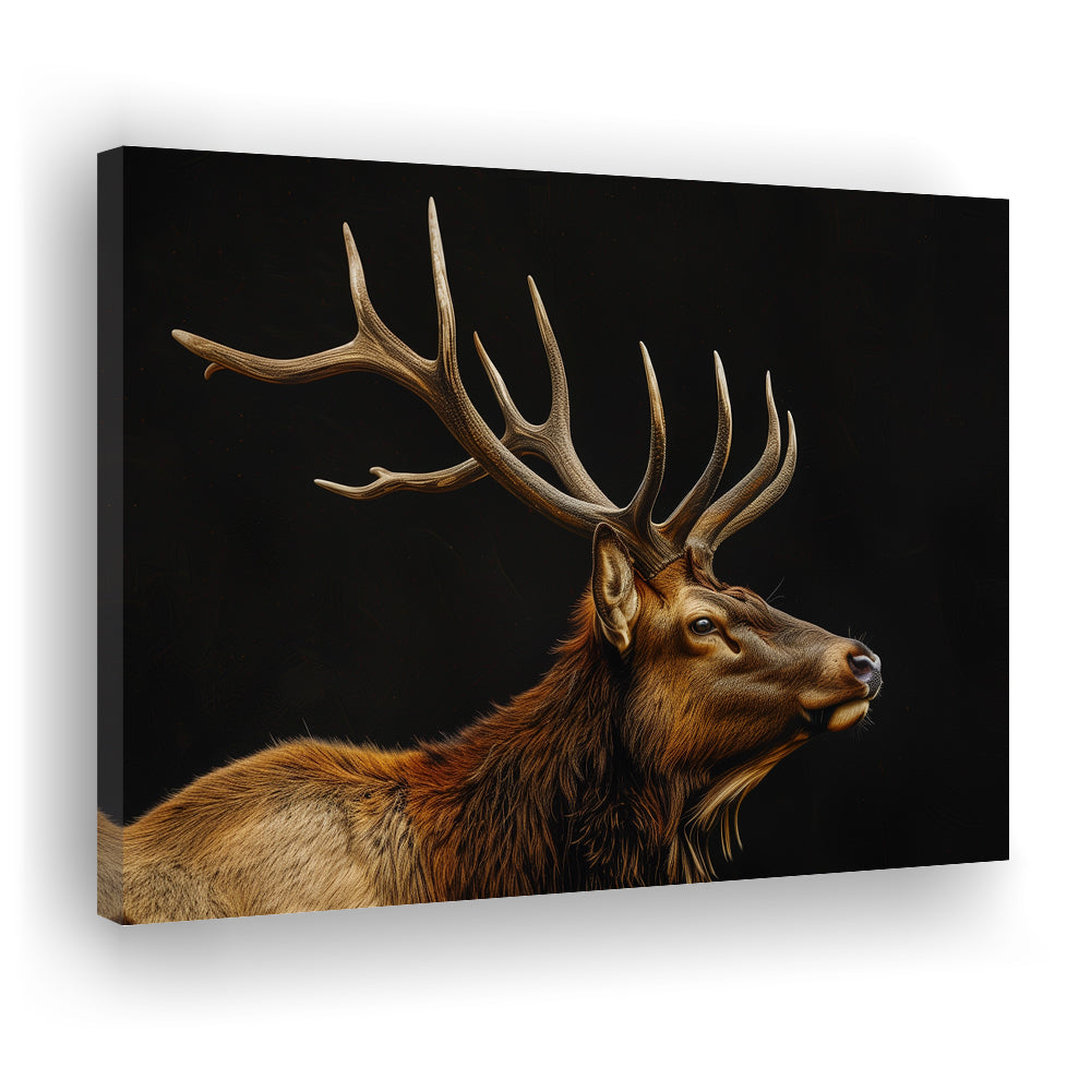 Portrait Elk With Antlers Black Background, Hunting Art Decor V1, Canvas Print Wall Art Home Decor