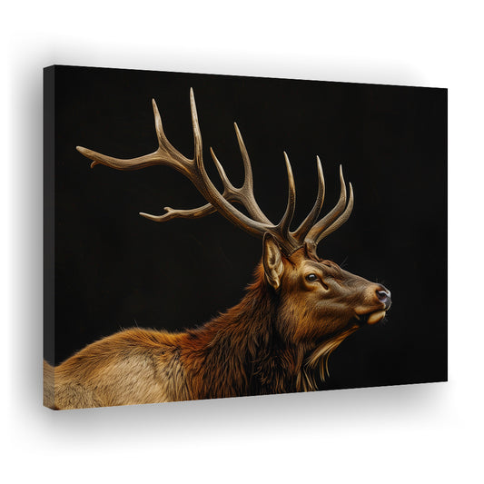 Portrait Elk With Antlers Black Background, Hunting Art Decor V1, Canvas Print Wall Art Home Decor