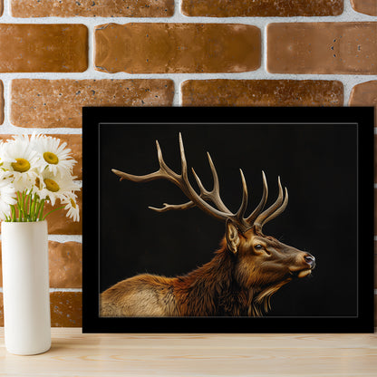 Portrait Elk With Antlers Black Background, Hunting Art Decor V1, Framed Art Print Wall Decor, Framed Picture