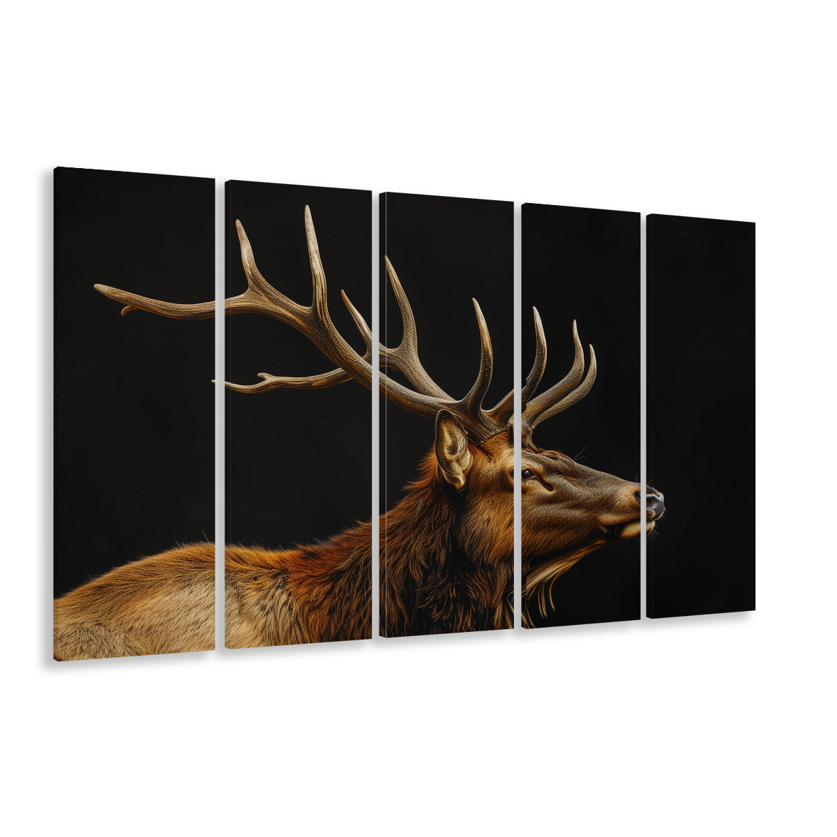 Portrait Elk With Antlers Black Background, Hunting Art V1, Multi Panels Canvas Print Wall Art