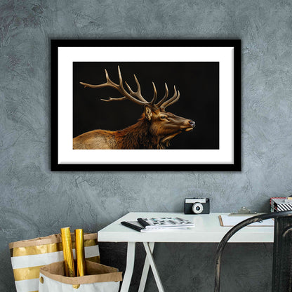 Portrait Elk With Antlers Black Background, Hunting Art Decor V1, Framed Art Print White Border Wall Decor