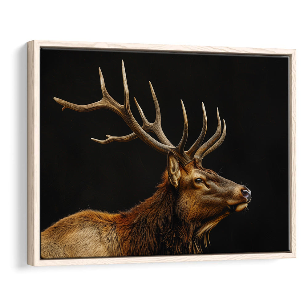 Portrait Elk With Antlers Black Background, Hunting Art Decor V1, Floating Framed Canvas Print Wall Art