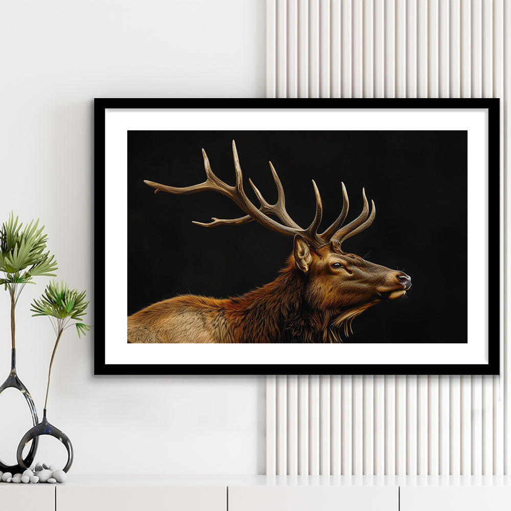 Portrait Elk With Antlers Black Background, Hunting Art Decor V1, Framed Art Print White Border Wall Decor