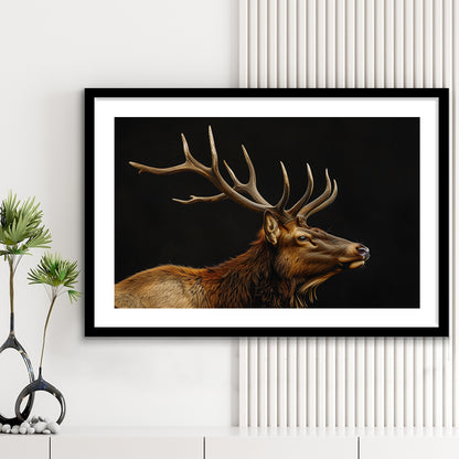 Portrait Elk With Antlers Black Background, Hunting Art Decor V1, Framed Art Print White Border Wall Decor