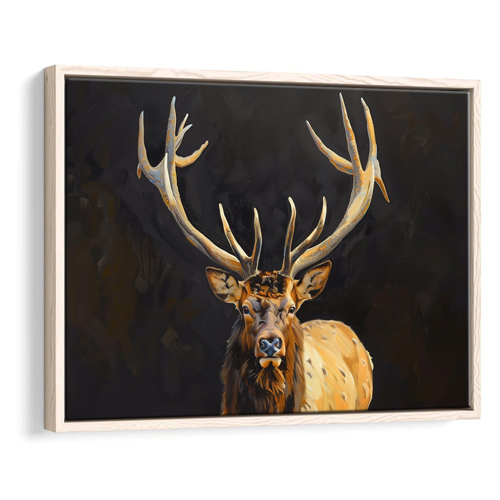 Portrait Elk With Antlers Black Background, Hunting Art Decor V2, Floating Framed Canvas Print Wall Art