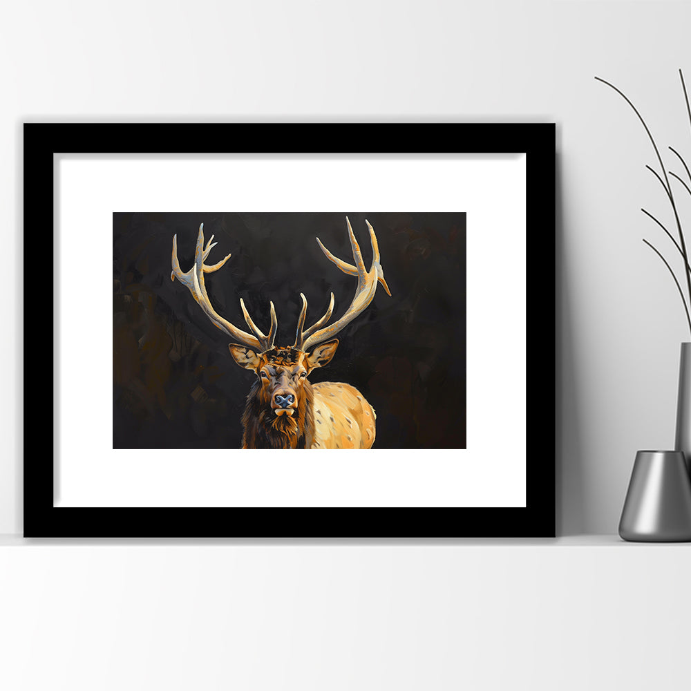 Portrait Elk With Antlers Black Background, Hunting Art Decor V2, Framed Art Print White Border Wall Decor