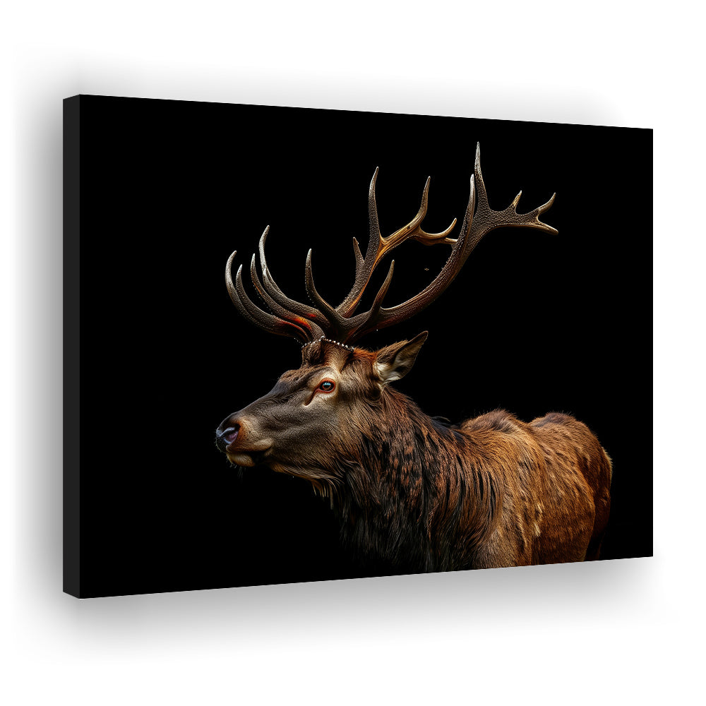 Portrait Elk With Antlers Black Background, Hunting Art Decor V3, Canvas Print Wall Art Home Decor