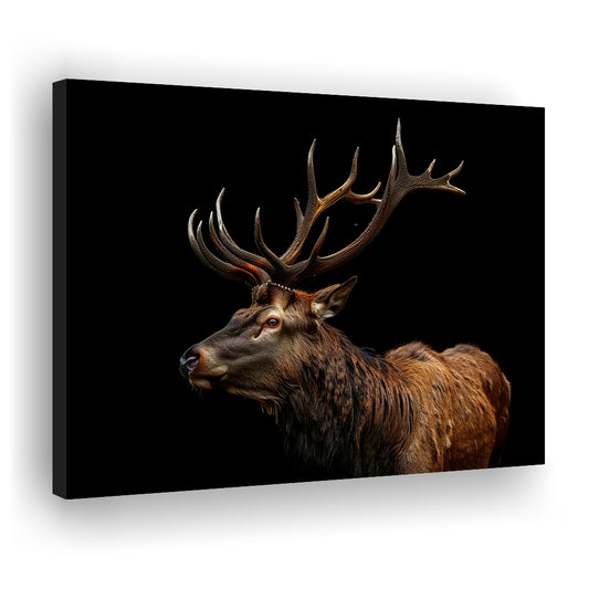 Portrait Elk With Antlers Black Background, Hunting Art Decor V3, Canvas Print Wall Art Home Decor