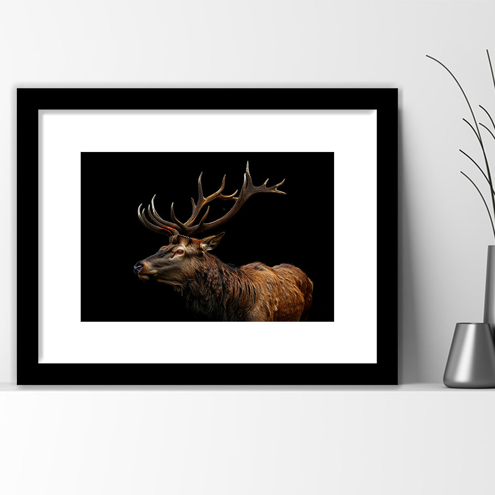 Portrait Elk With Antlers Black Background, Hunting Art Decor V3, Framed Art Print White Border Wall Decor