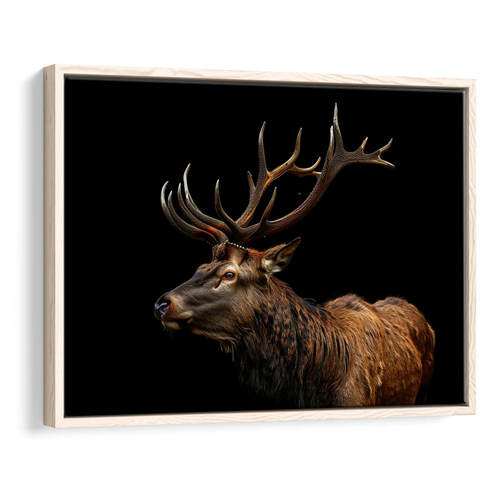 Portrait Elk With Antlers Black Background, Hunting Art Decor V3, Floating Framed Canvas Print Wall Art