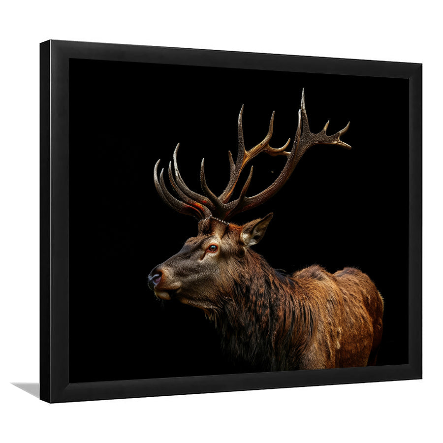 Portrait Elk With Antlers Black Background, Hunting Art Decor V3, Framed Art Print Wall Decor, Framed Picture