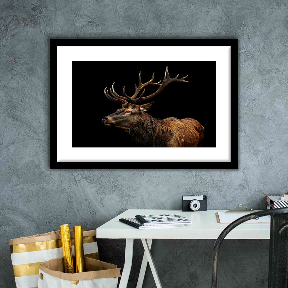 Portrait Elk With Antlers Black Background, Hunting Art Decor V3, Framed Art Print White Border Wall Decor