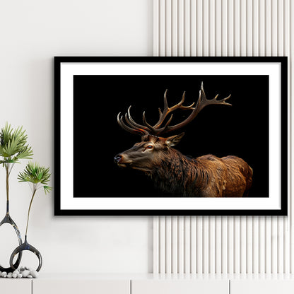 Portrait Elk With Antlers Black Background, Hunting Art Decor V3, Framed Art Print White Border Wall Decor