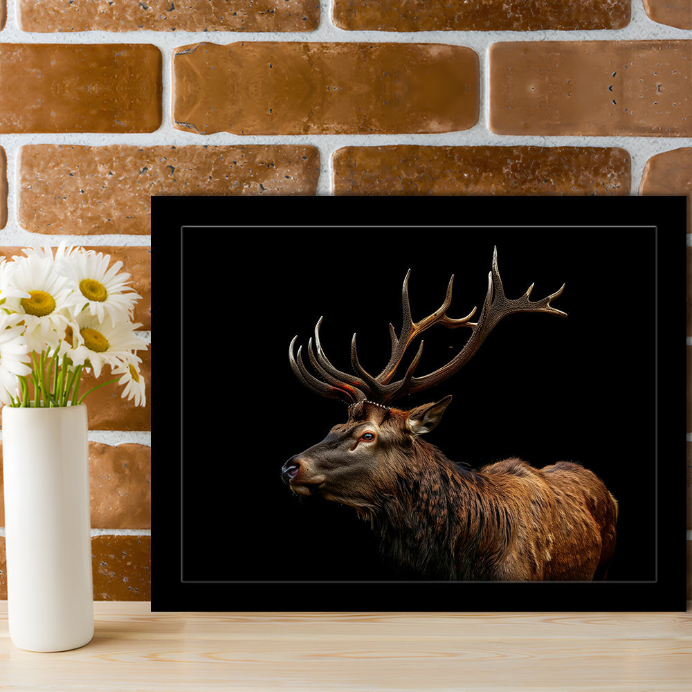 Portrait Elk With Antlers Black Background, Hunting Art Decor V3, Framed Art Print Wall Decor, Framed Picture