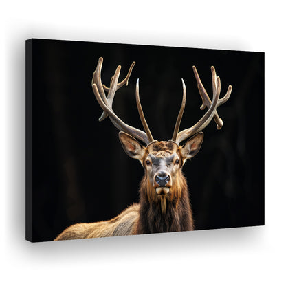 Portrait Elk With Antlers Black Background, Hunting Art Decor V4, Canvas Print Wall Art Home Decor
