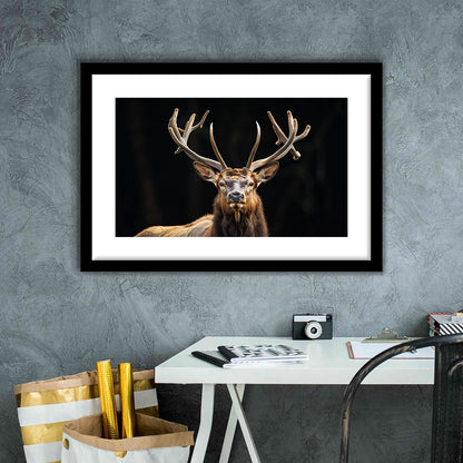 Portrait Elk With Antlers Black Background, Hunting Art Decor V4, Framed Art Print White Border Wall Decor
