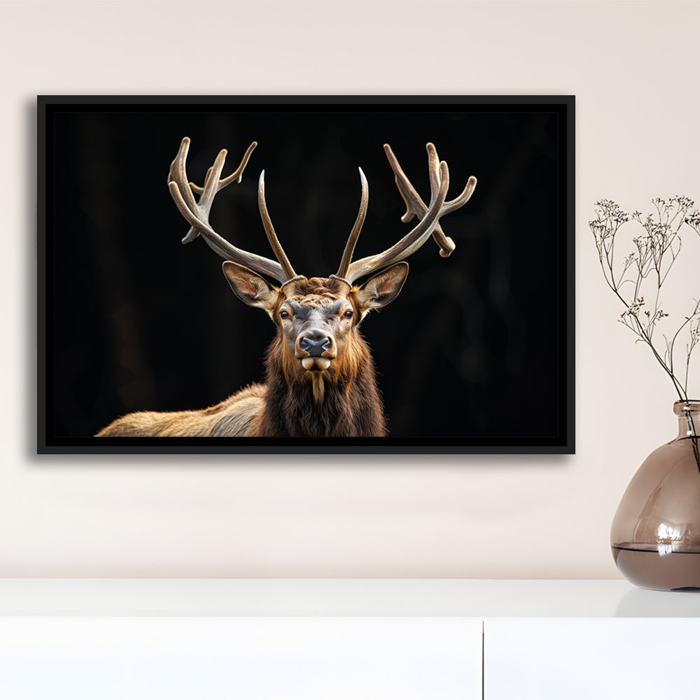 Portrait Elk With Antlers Black Background, Hunting Art Decor V4, Floating Framed Canvas Print Wall Art