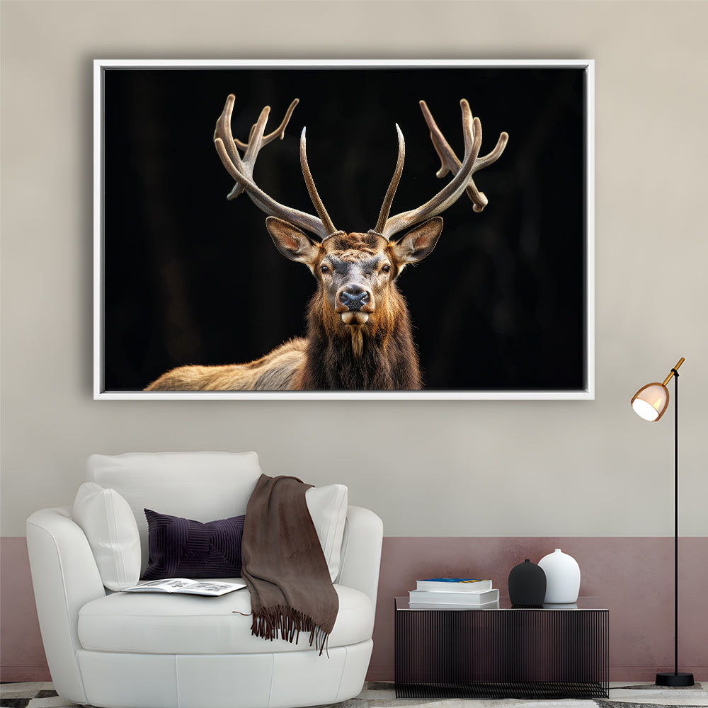 Portrait Elk With Antlers Black Background, Hunting Art Decor V4, Floating Framed Canvas Print Wall Art