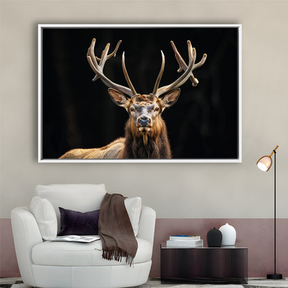 Portrait Elk With Antlers Black Background, Hunting Art Decor V4, Floating Framed Canvas Print Wall Art